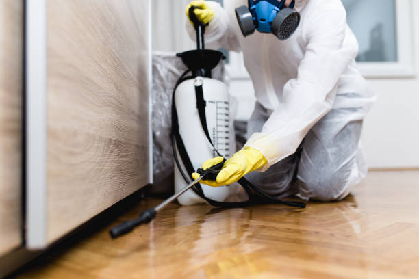 Best Pest Control for Businesses  in Lexington, TX