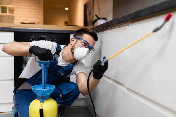 Best Pest Control Near Me  in Lexington, TX