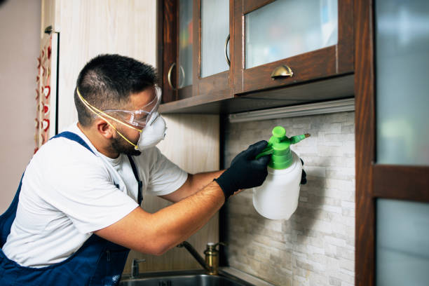 Wasp Removal Services in Lexington, TX