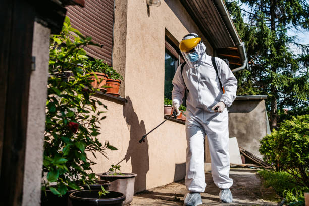 Best Termite Control Services  in Lexington, TX