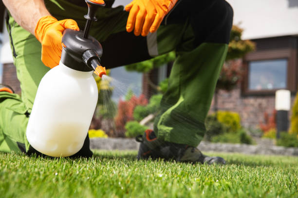 Best Pest Removal Services  in Lexington, TX