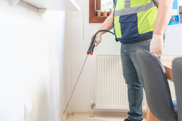 Reliable Lexington, TX Pest Control Solutions