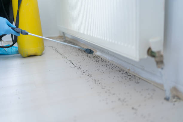 Best Bed Bug Extermination  in Lexington, TX