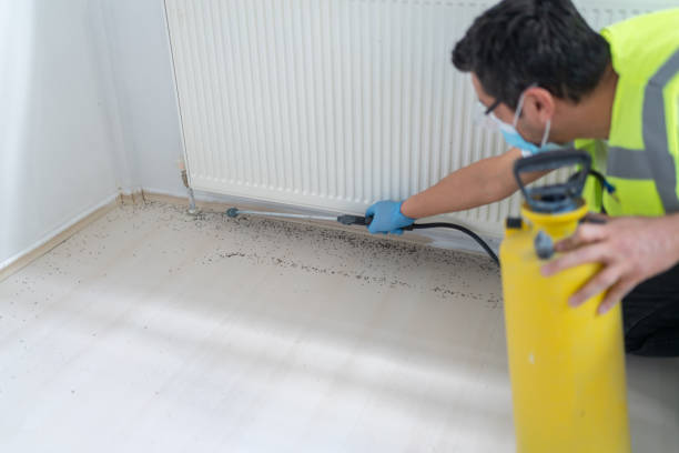 Best Pest Control Treatment  in Lexington, TX