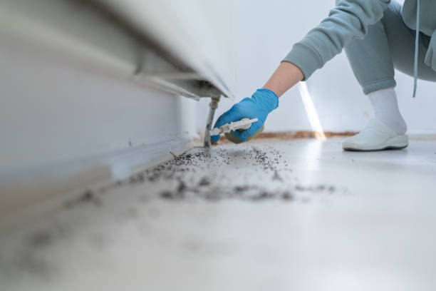 Best Wildlife Control Services  in Lexington, TX