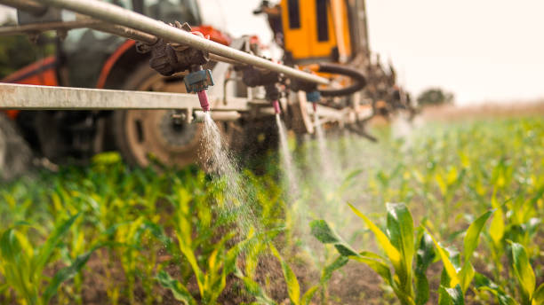 Best Commercial Pest Control Services  in Lexington, TX