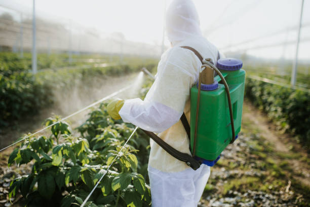 Best Bed Bug Extermination  in Lexington, TX